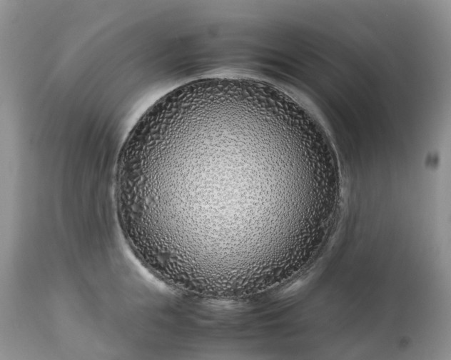 X0000113090855200909111025