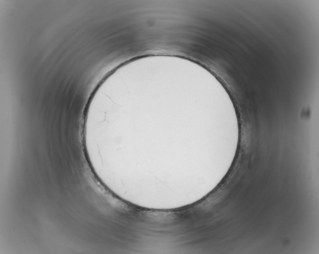 X0000113090856200909111025