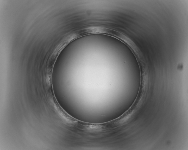 X0000113090857200909111025