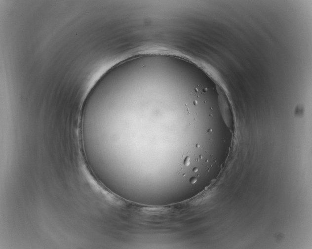 X0000113090863200909111025