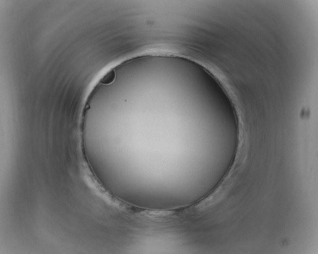 X0000113090864200909111025