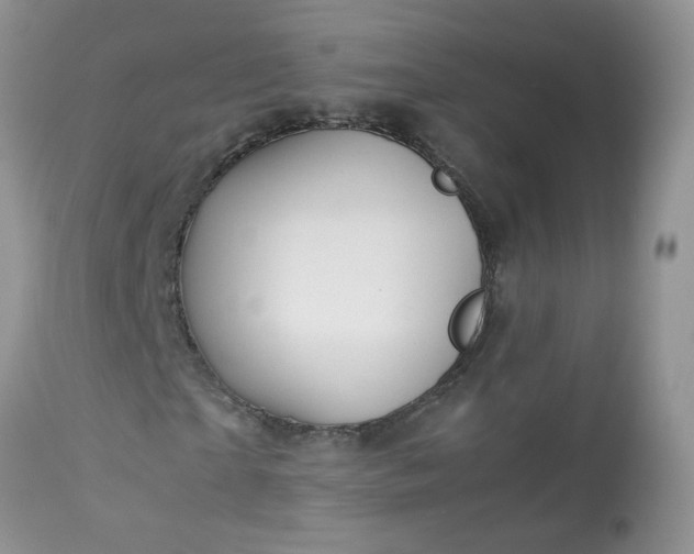 X0000113090865200909111025