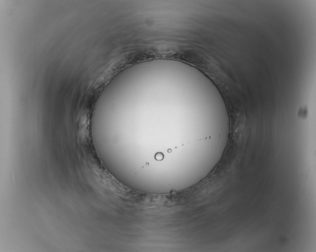 X0000113090866200909111025