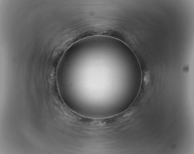 X0000113090867200909111025