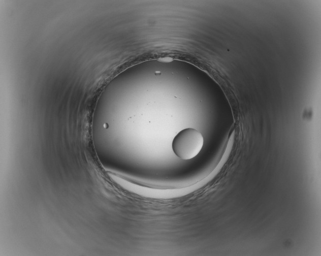 X0000113090868200909111025