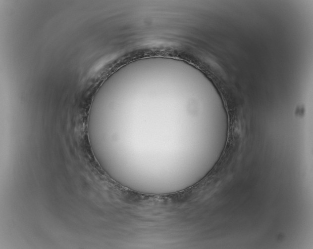 X0000113090869200909111025