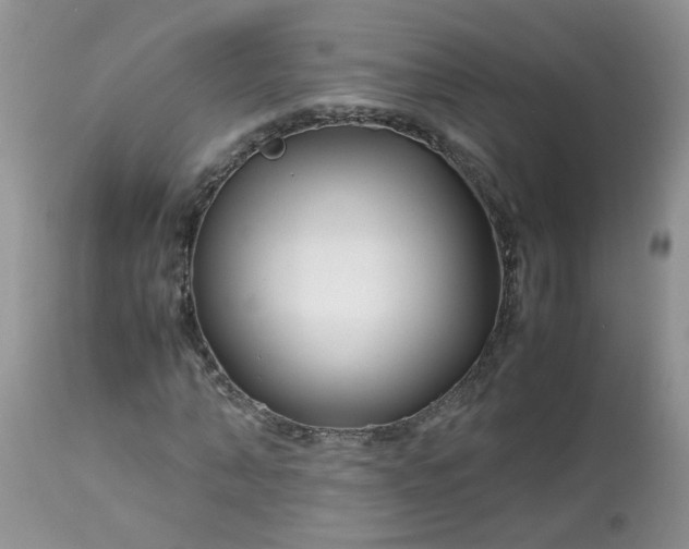 X0000113090870200909111025