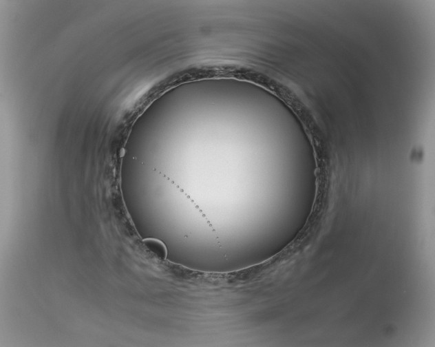 X0000113090871200909111025