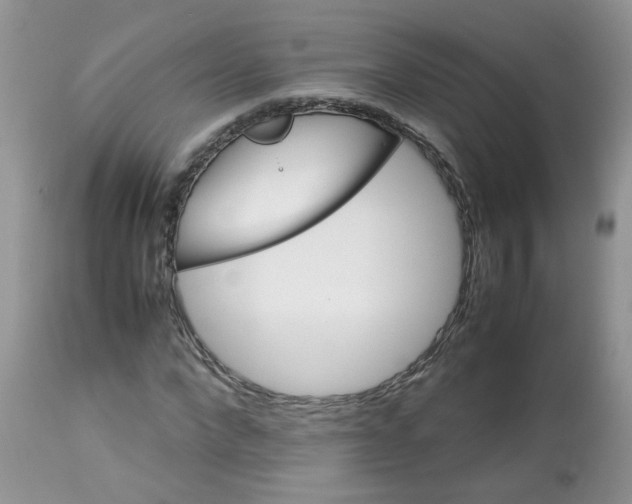 X0000113090872200909111025