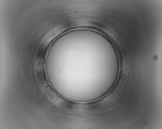 X0000113090873200909111024