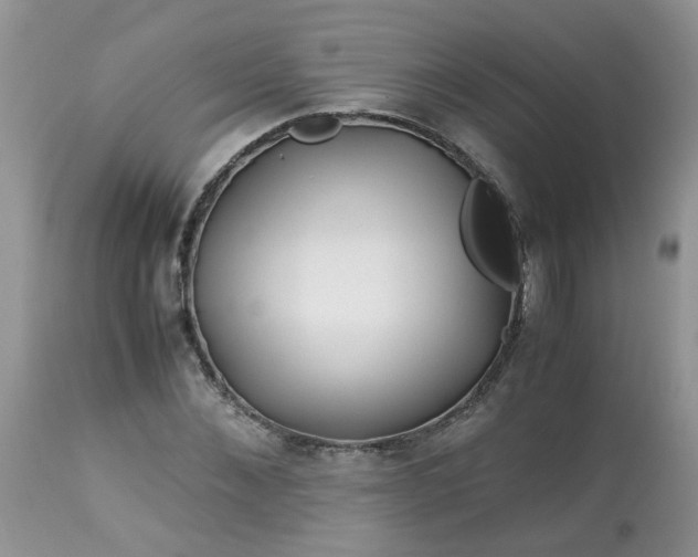 X0000113090876200909111024