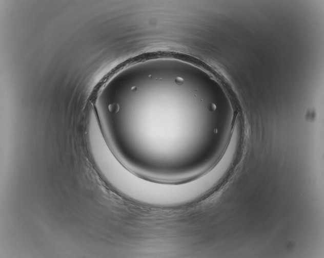 X0000113090877200909111024