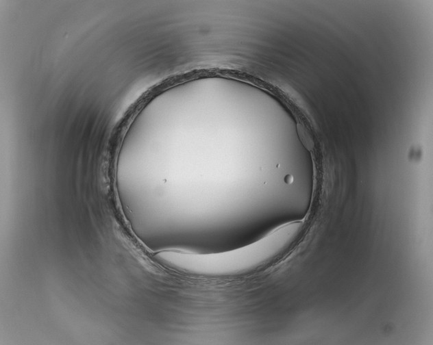 X0000113090878200909111024