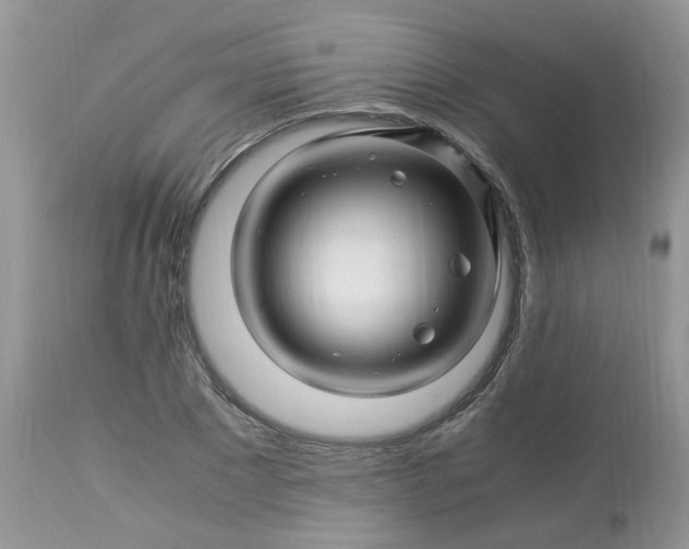 X0000113090881200909111024