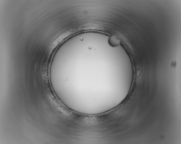 X0000113090882200909111024