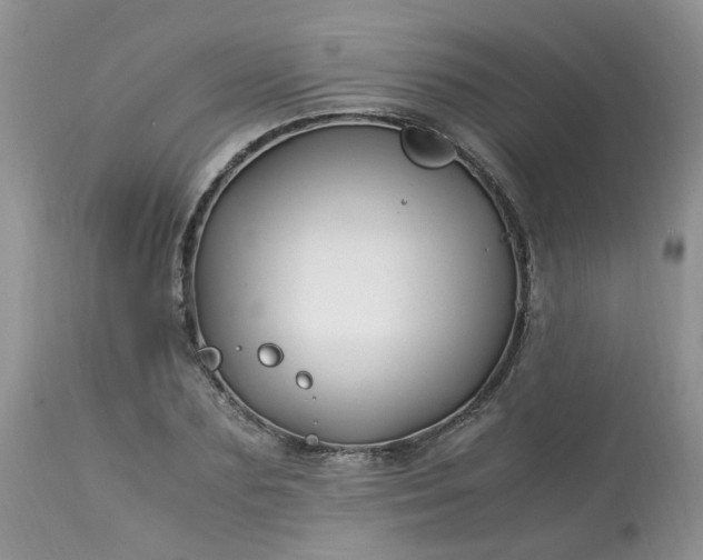 X0000113090883200909111024