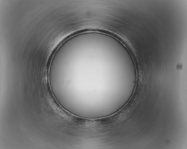 X0000113090887200909111024