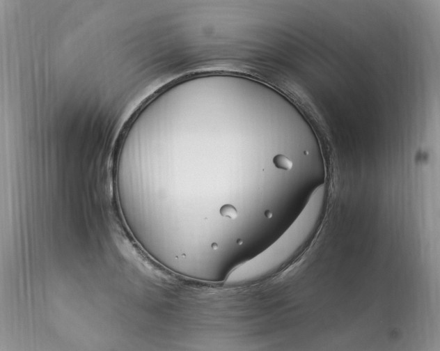 X0000113090892200909111024