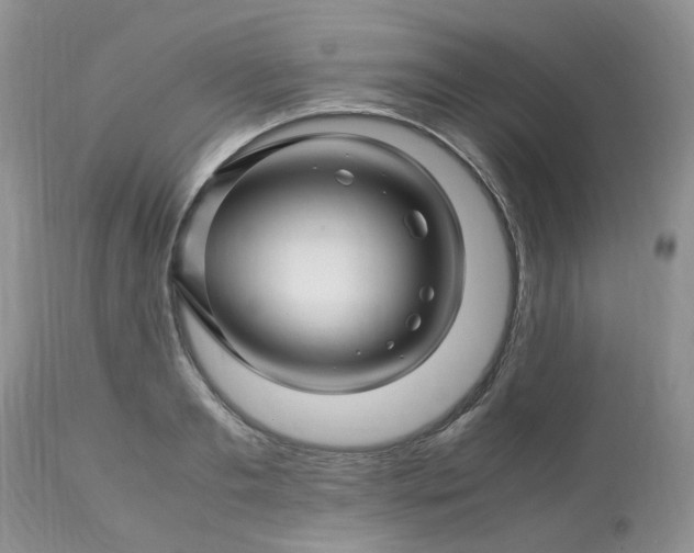 X0000113090893200909111024