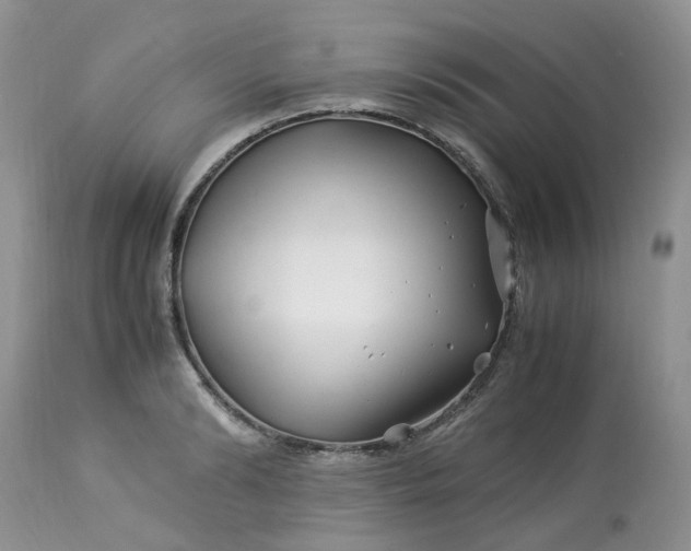 X0000113090894200909111024