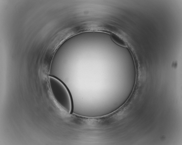X0000113090897200909111024