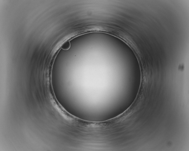 X0000113090898200909111024
