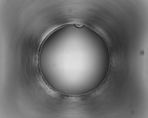 X0000113090900200909111024