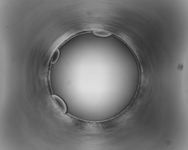 X0000113090901200909111024