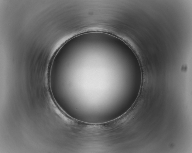 X0000113090902200909111024