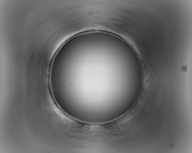 X0000113090903200909111024