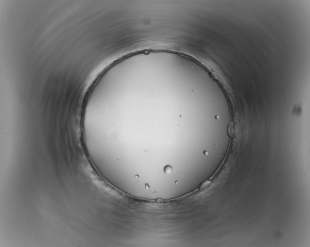 X0000113090904200909111024