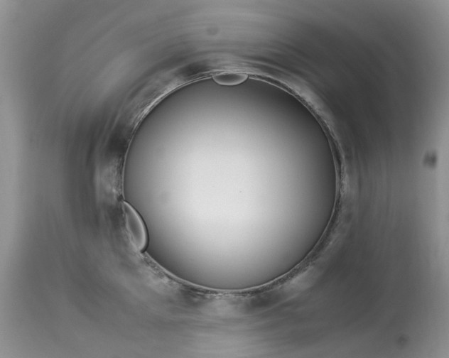 X0000113090905200909111024