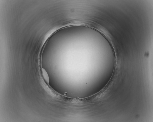 X0000113090907200909111024