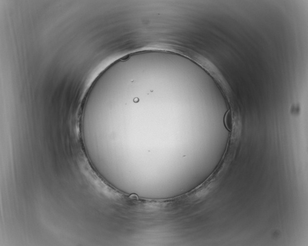 X0000113090908200909111024