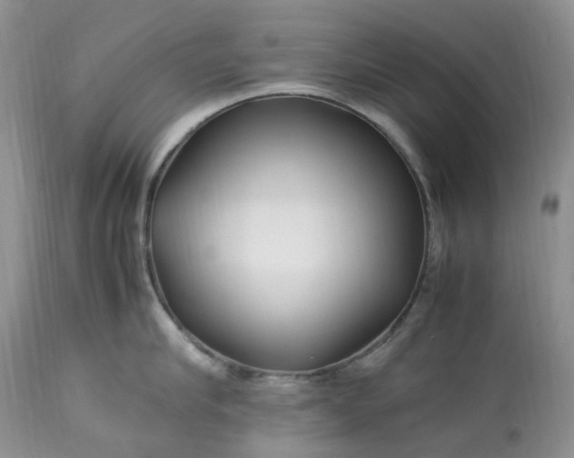 X0000113090910200909111024