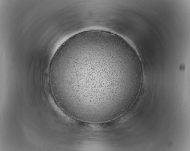 X0000113090911200909111024