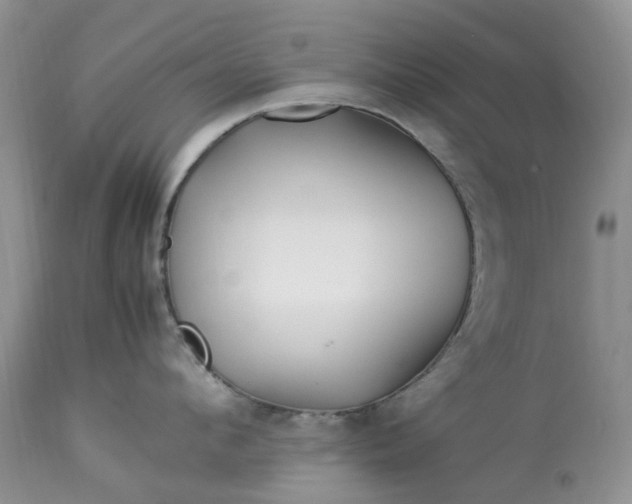 X0000113090912200909111024