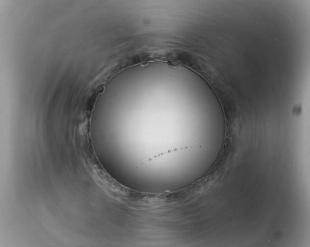 X0000113090914200909111023