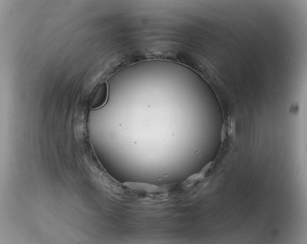 X0000113090915200909111023