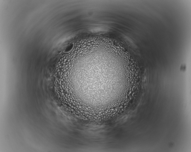 X0000113090917200909111023