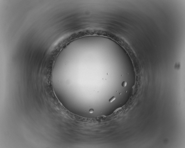 X0000113090919200909111023