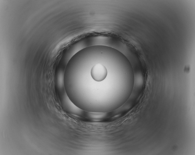X0000113090920200909111023