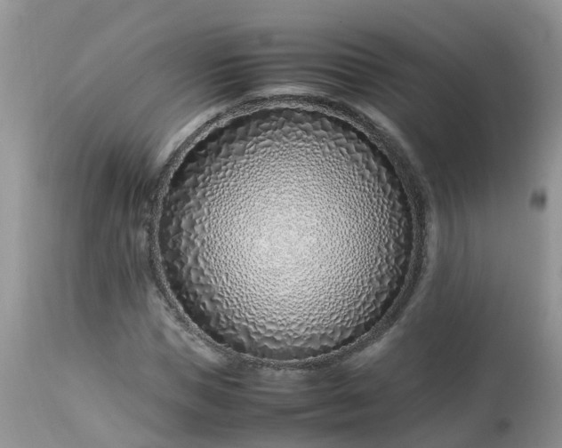 X0000113090921200909111023