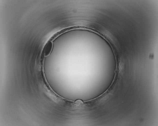 X0000113090924200909111023