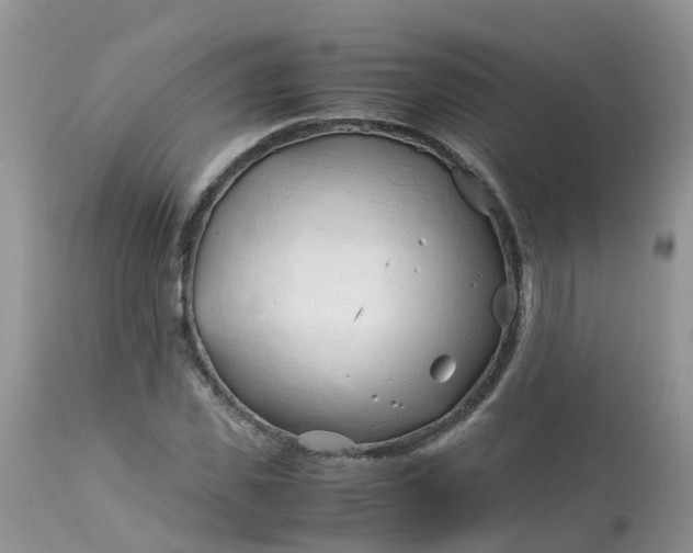 X0000113090925200909111023