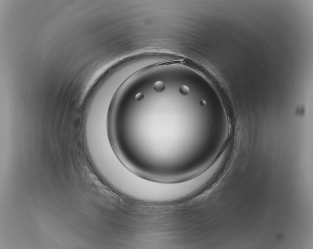 X0000113090926200909111023