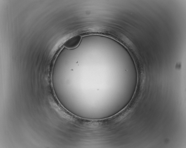 X0000113090930200909111023