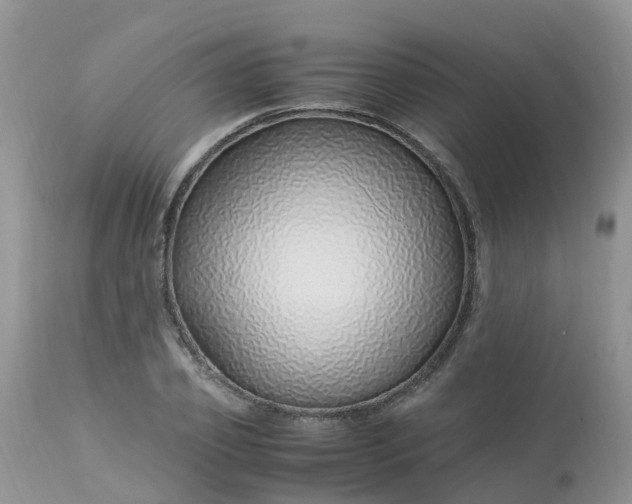 X0000113090933200909111023