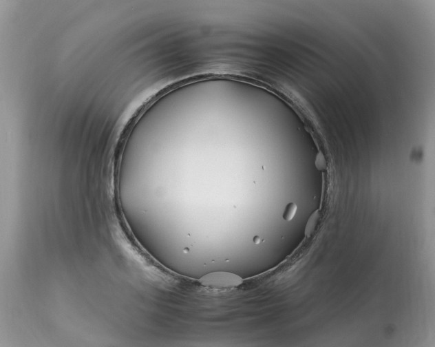 X0000113090939200909111023