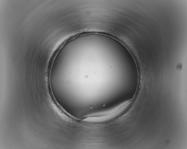 X0000113090942200909111023